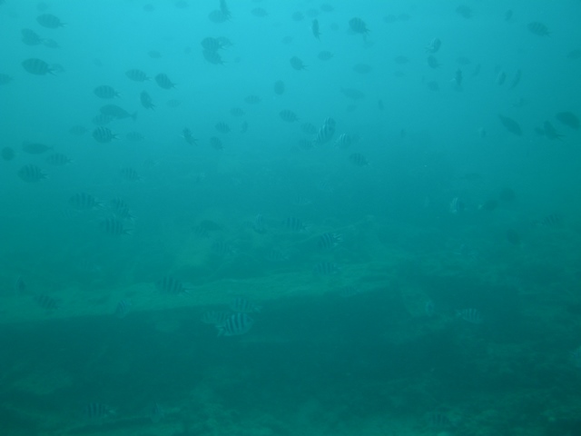a0085632_21151100.jpg