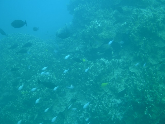 a0085632_211540.jpg
