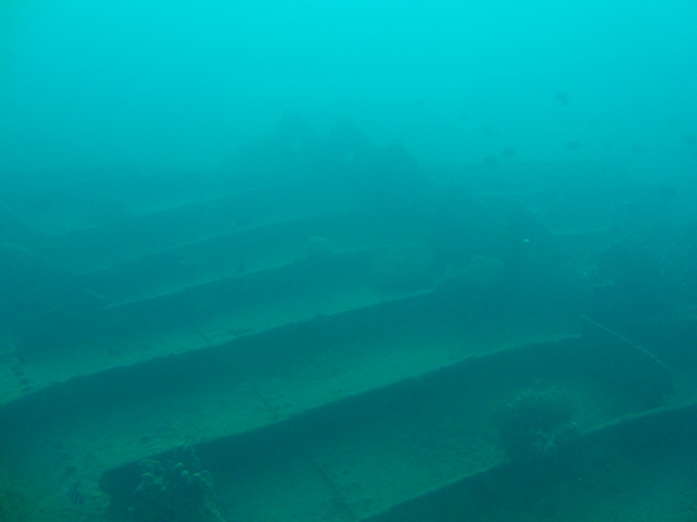 a0085632_212738.jpg