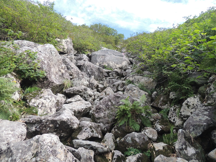 f0118332_1202497.jpg