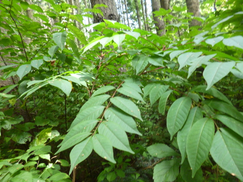 c0233141_1436208.jpg