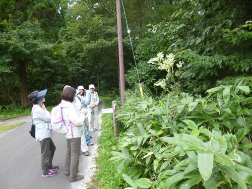 c0233141_1450157.jpg