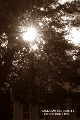 e0173743_15562293.jpg