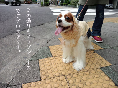 a0120944_21122347.jpg