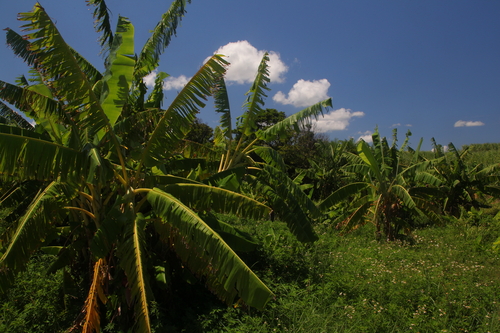 d0177549_22254916.jpg