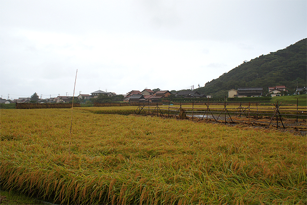 f0214649_7535339.jpg