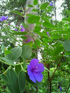 e0173350_16111883.jpg