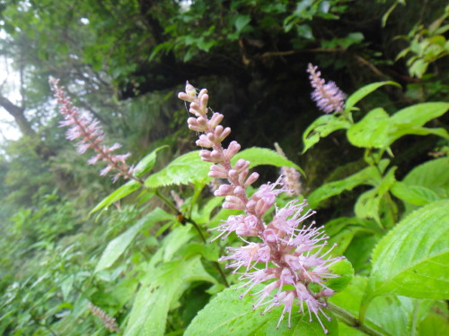 c0179351_208880.jpg