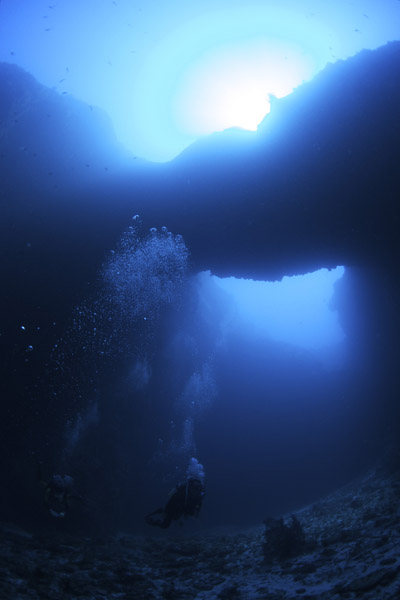 b0062363_7333681.jpg