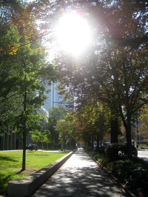 c0194065_6583929.jpg