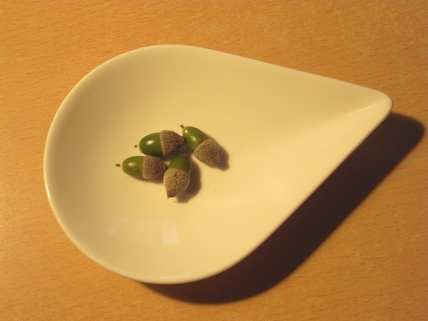 c0166668_7191681.jpg