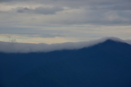 c0303868_558812.jpg