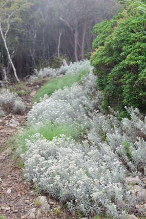 c0303868_644756.jpg