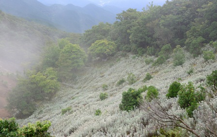 c0303868_652863.jpg