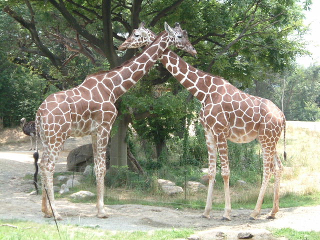 d0224581_152885.jpg
