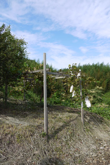 f0222692_1950840.jpg