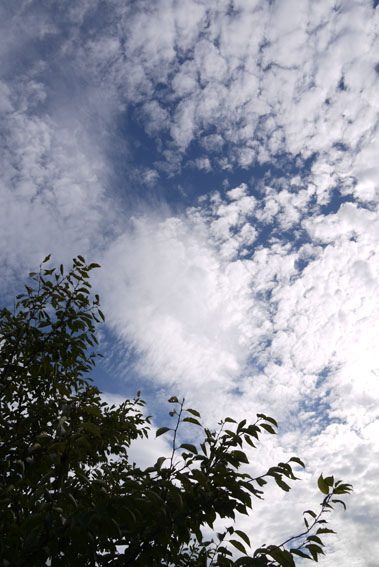 f0222692_19515315.jpg