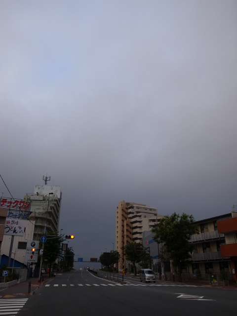 d0081997_11141635.jpg