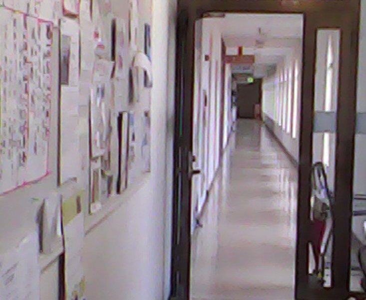 a0031000_658165.jpg
