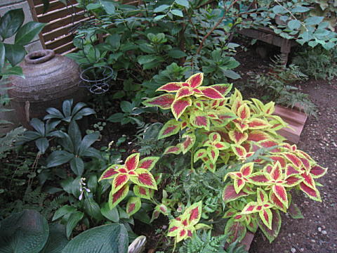d0046702_20201482.jpg