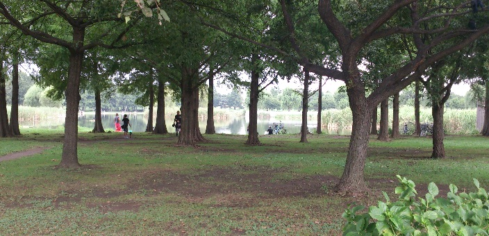 d0299604_8285178.jpg