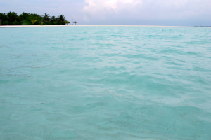 d0298808_1254661.jpg