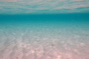 d0298808_1255629.jpg