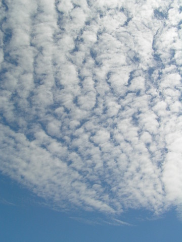 b0009118_18453135.jpg