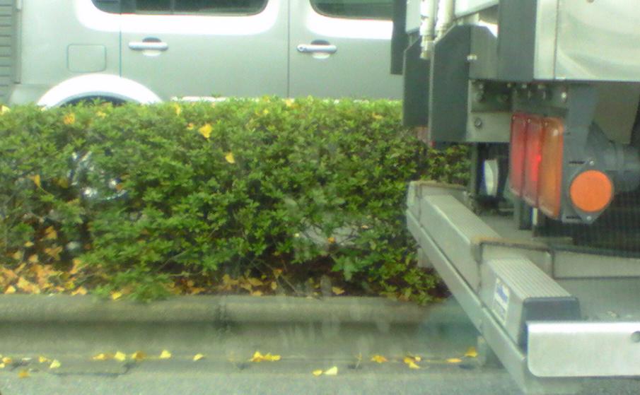 c0097620_19245985.jpg