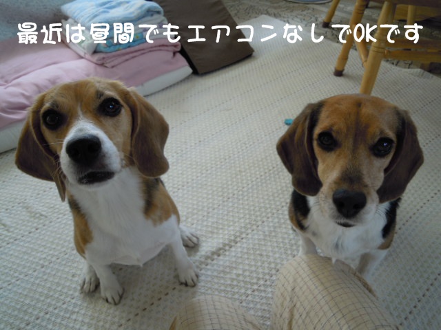 c0166622_1301937.jpg