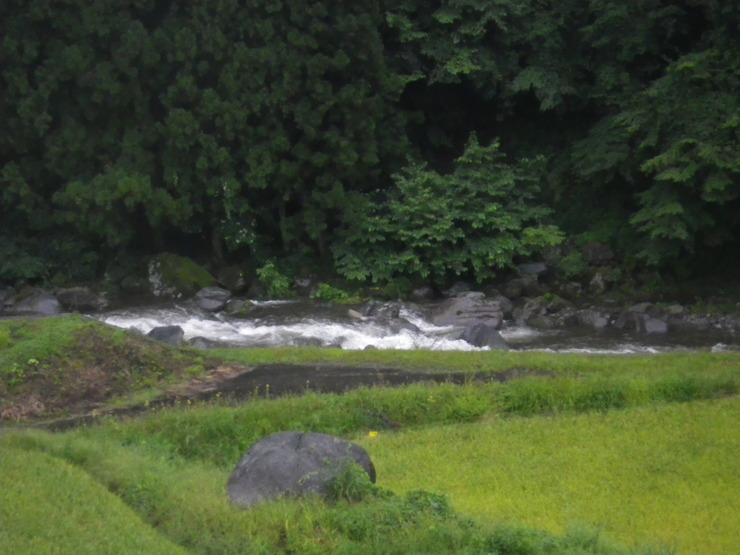 d0257922_1873721.jpg