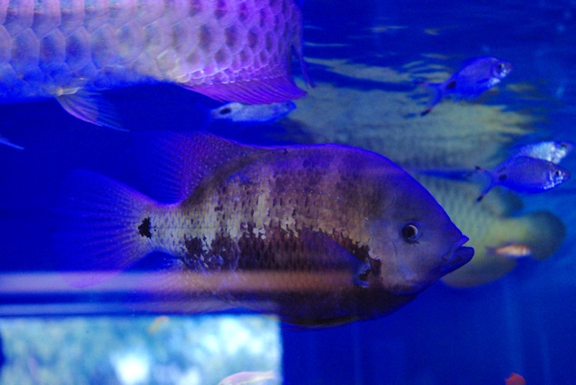 a0315924_20511969.jpg