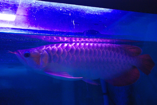 a0315924_20513423.jpg