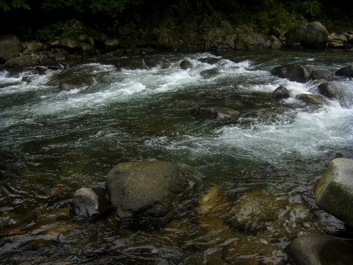 f0103126_221687.jpg