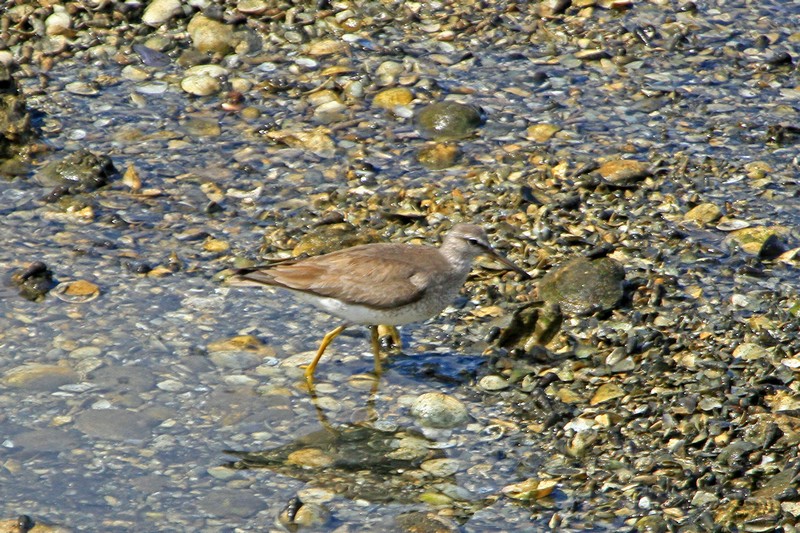 c0104227_00598.jpg