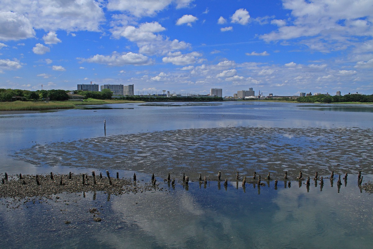 c0104227_23333931.jpg