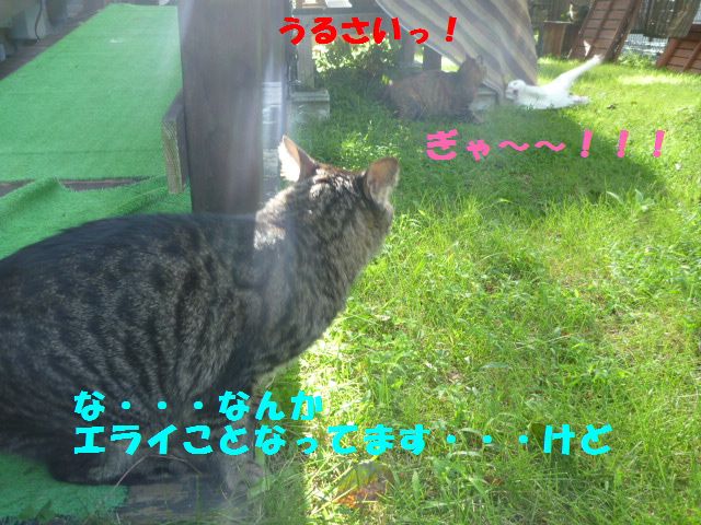 e0142430_1442146.jpg