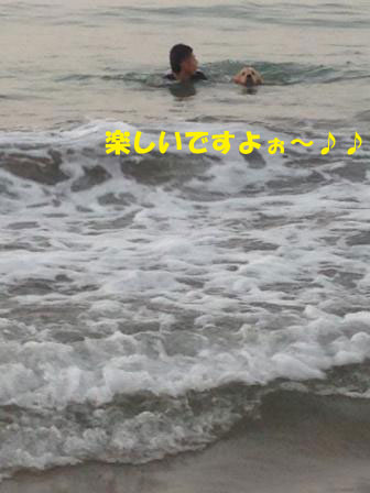 f0176830_1338593.jpg