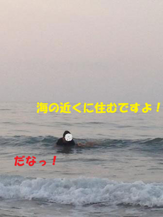 f0176830_1342162.jpg