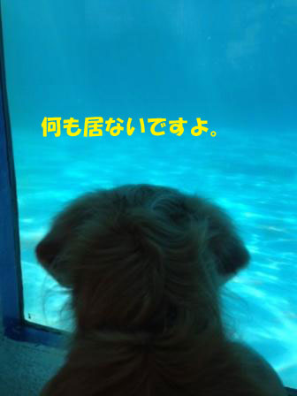 f0176830_22195585.jpg