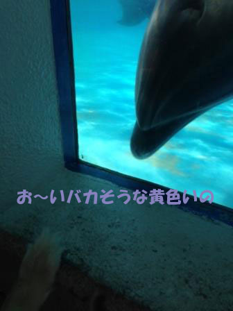 f0176830_22253596.jpg