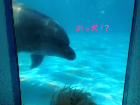 f0176830_22325115.jpg