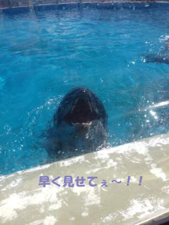 f0176830_22403145.jpg