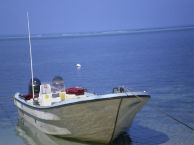 a0085632_2244221.jpg