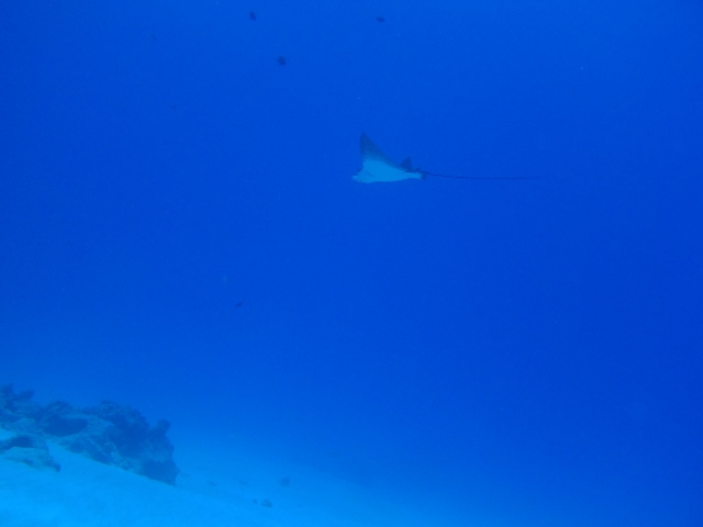 a0085632_22444852.jpg