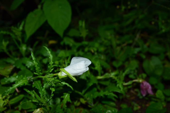 b0236334_2081790.jpg