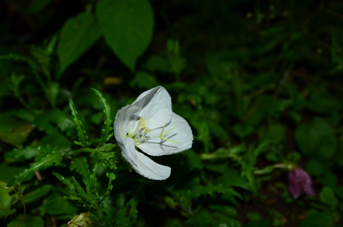 b0236334_2084497.jpg