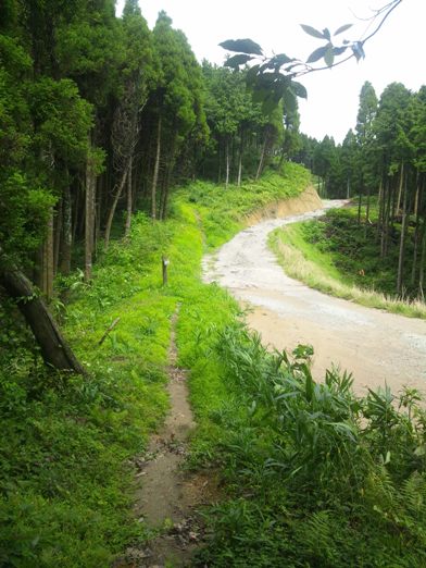 c0077338_62731.jpg