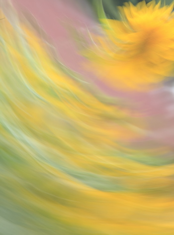 f0232758_19272263.jpg