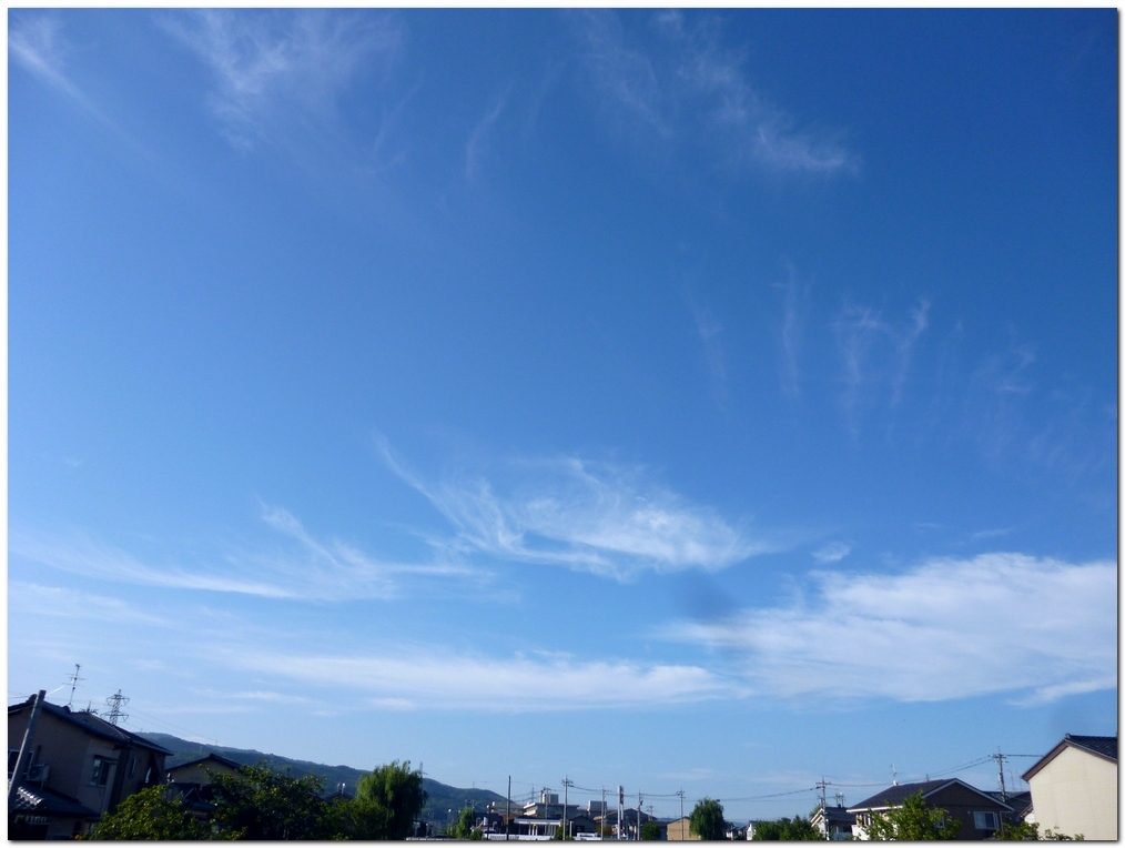 a0240761_10352677.jpg